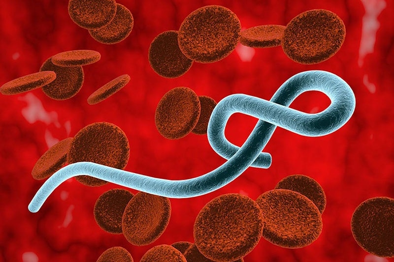 Bộ Y tế tăng cường gi&aacute;m s&aacute;t trước nguy cơ dịch Ebola