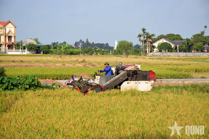 Giảm phát thải trồng trọt để tăng tính cạnh tranh nông sản Việt trên thị trường