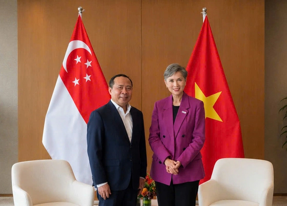 Việt Nam - Singapore trao đổi hợp tác phát triển số, quản trị AI và hạ tầng kết nối