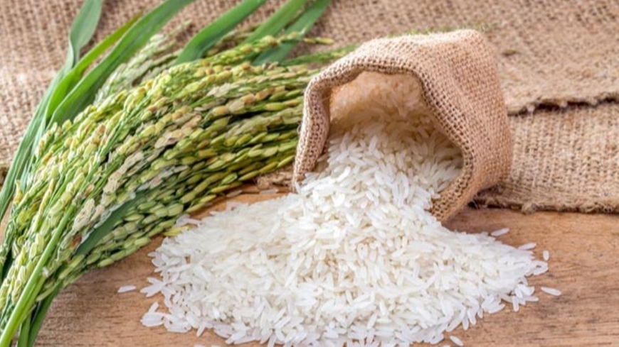 Bản tin n&ocirc;ng sản h&ocirc;m nay (22-5): Gi&aacute; c&agrave; ph&ecirc; giảm
