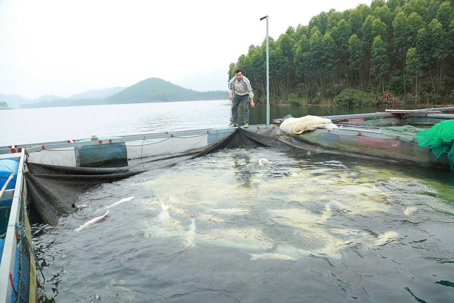 Phát triển nuôi trồng thủy sản từ mặt nước hồ chứa
