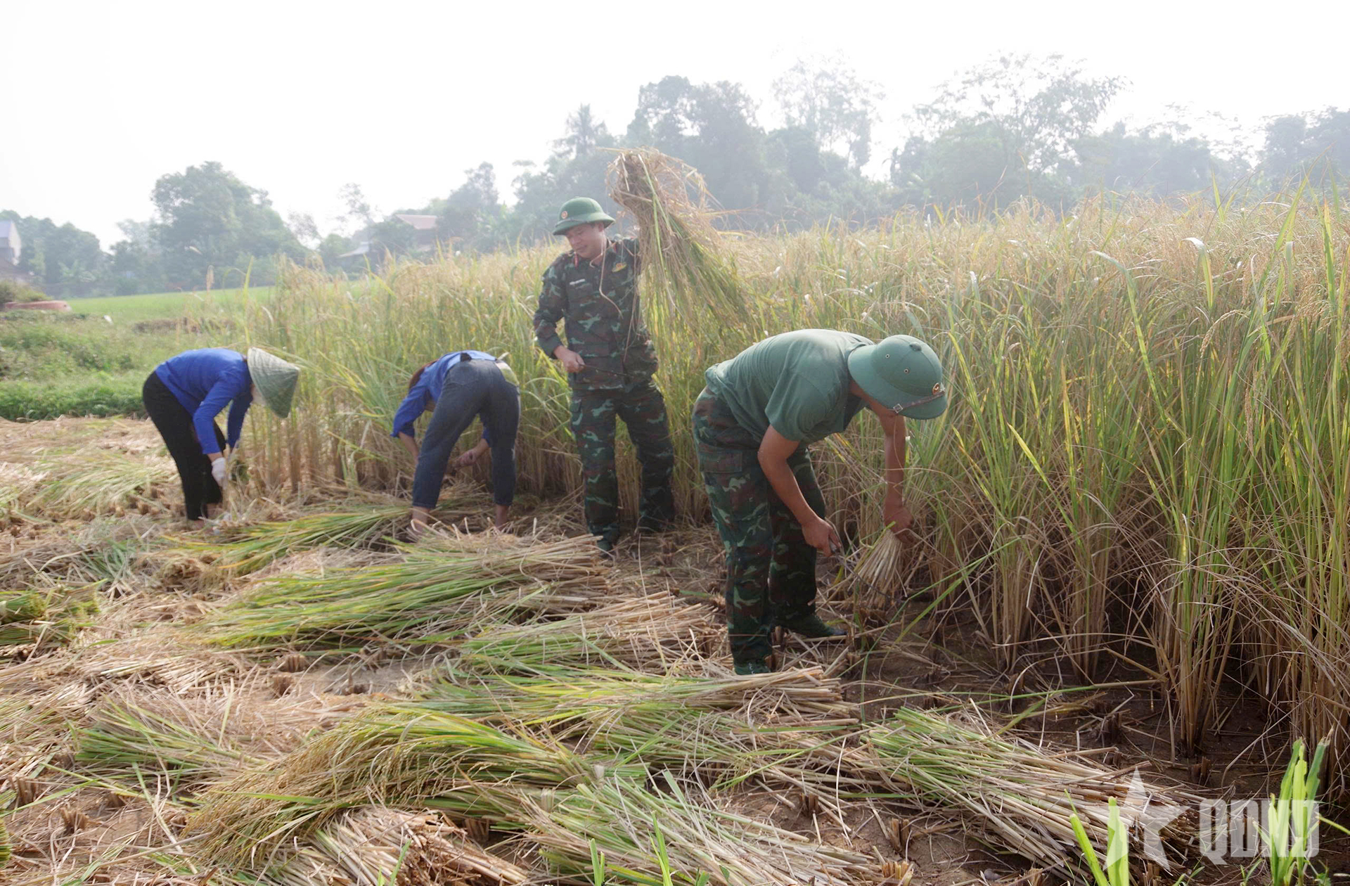 Dân vận khéo vun đắp “thế trận lòng dân” vững chắc

