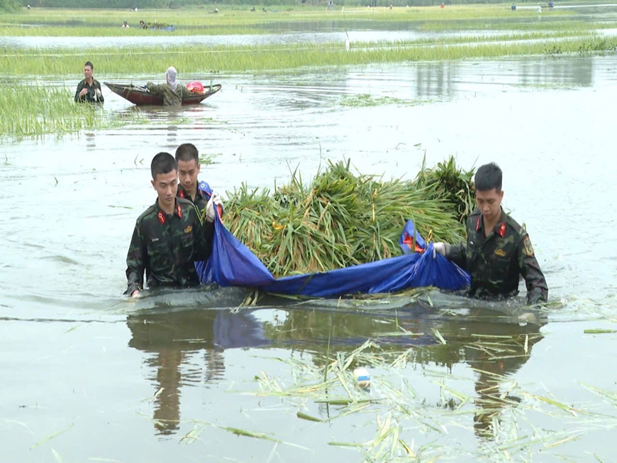 Bộ đội Quân khu 2 cùng nhân dân cứu lúa trên quê hương đất Tổ