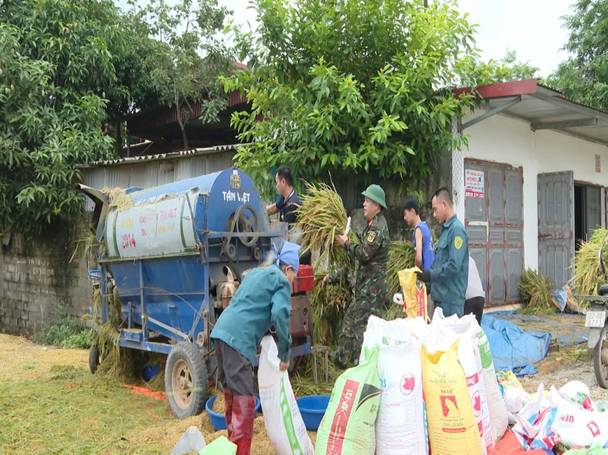 Bộ đội Quân khu 2 cùng nhân dân cứu lúa trên quê hương đất Tổ