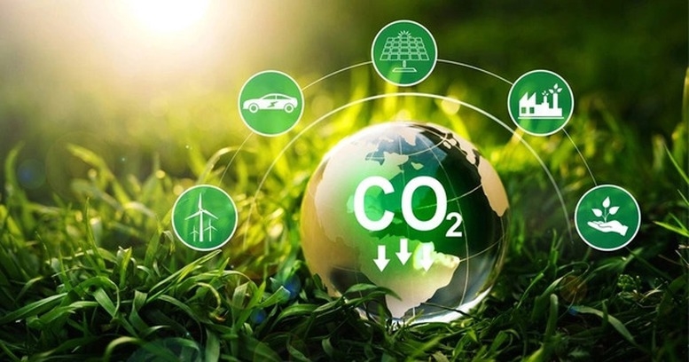 Ch&iacute;nh phủ quy định về hoạt động cung ứng, dịch vụ hấp thụ, lưu giữ carbon rừng