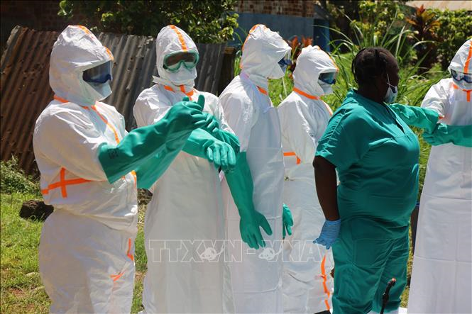 Dịch Ebola: WHO đề xuất thử nghiệm vaccine và thuốc điều trị mới