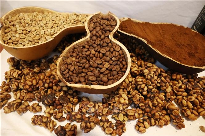 Bản tin n&ocirc;ng sản h&ocirc;m nay (30-5): Gi&aacute; c&agrave; ph&ecirc; trong nước tăng
