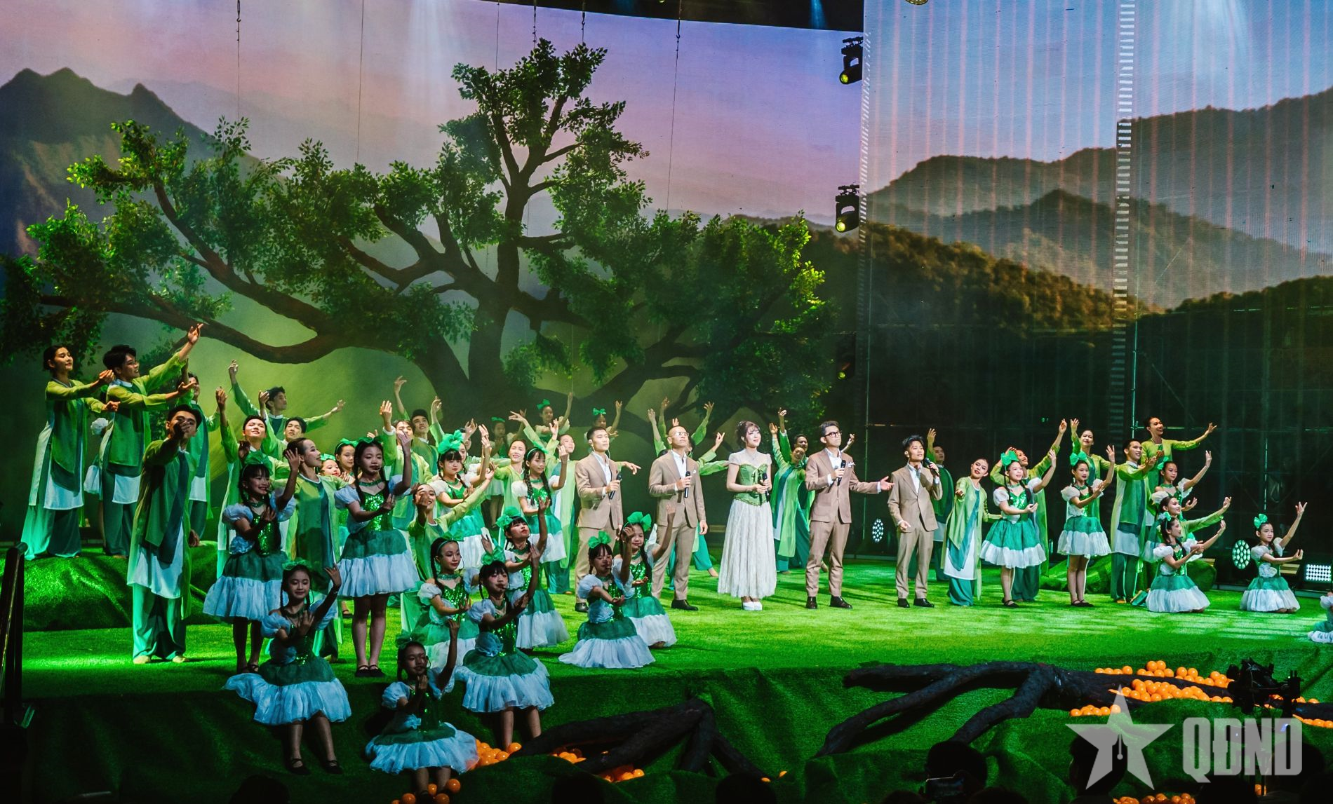 “True concert - Tình đất” - đêm diễn đặc biệt về thiên nhiên lên sóng VTV