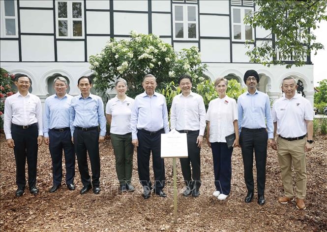 Tổng B&iacute; thư, Chủ tịch nước T&ocirc; L&acirc;m v&agrave; Thủ tướng Lawrence Wong trồng c&acirc;y tại Vườn B&aacute;ch thảo Singapore