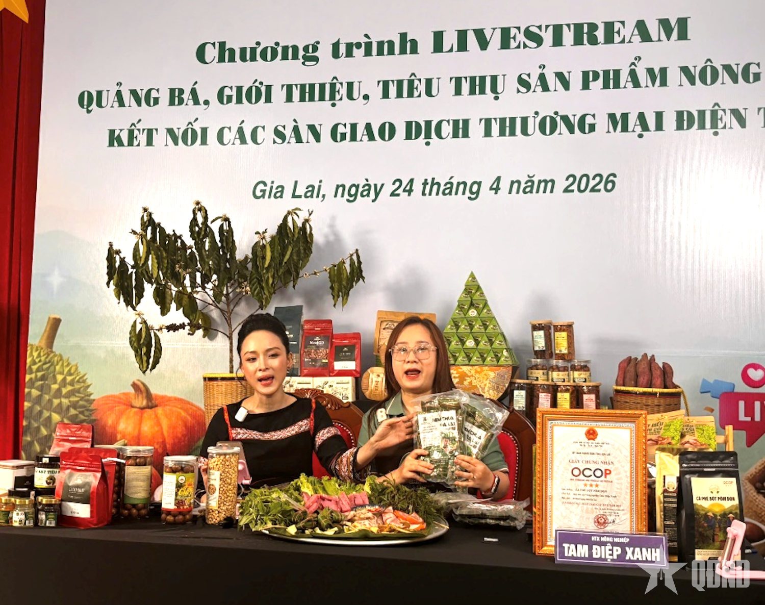 Chuẩn hóa năng lực nghề nghiệp cho nhà sáng tạo nội dung