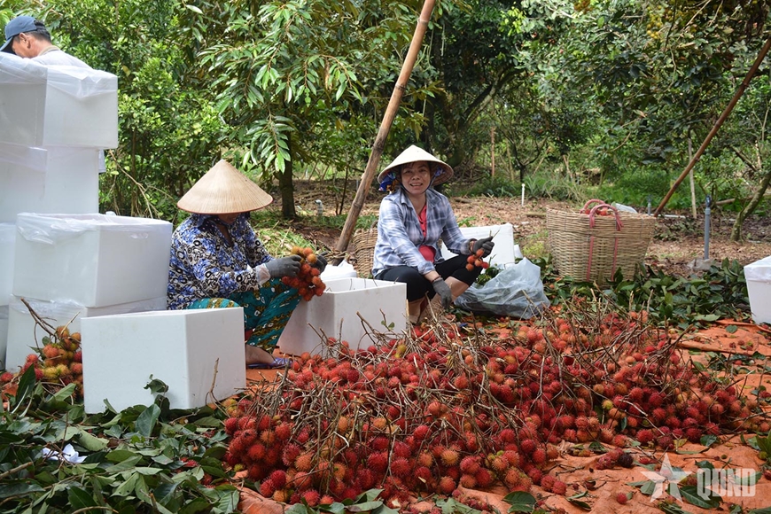 N&ocirc;ng nghiệp 5 th&aacute;ng đầu năm 2026 xuất khẩu đạt 30,69 tỷ USD
