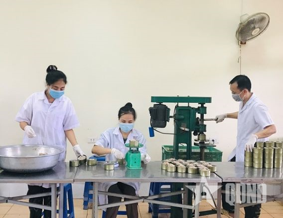 Thương hiệu 