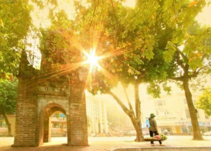 Đi trong ngày nắng