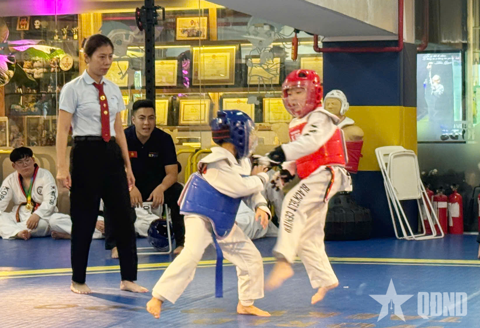 Hợp tác phát triển taekwondo giữa Việt Nam và Hàn Quốc

