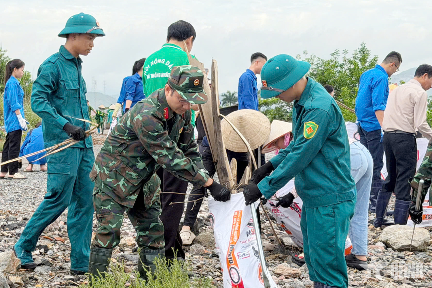 Quảng Ninh: Lực lượng vũ trang xã Thống Nhất chung tay vì môi trường xanh