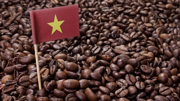 Bản tin nông sản hôm nay (7-6): Giá cà phê tiếp tục giảm
