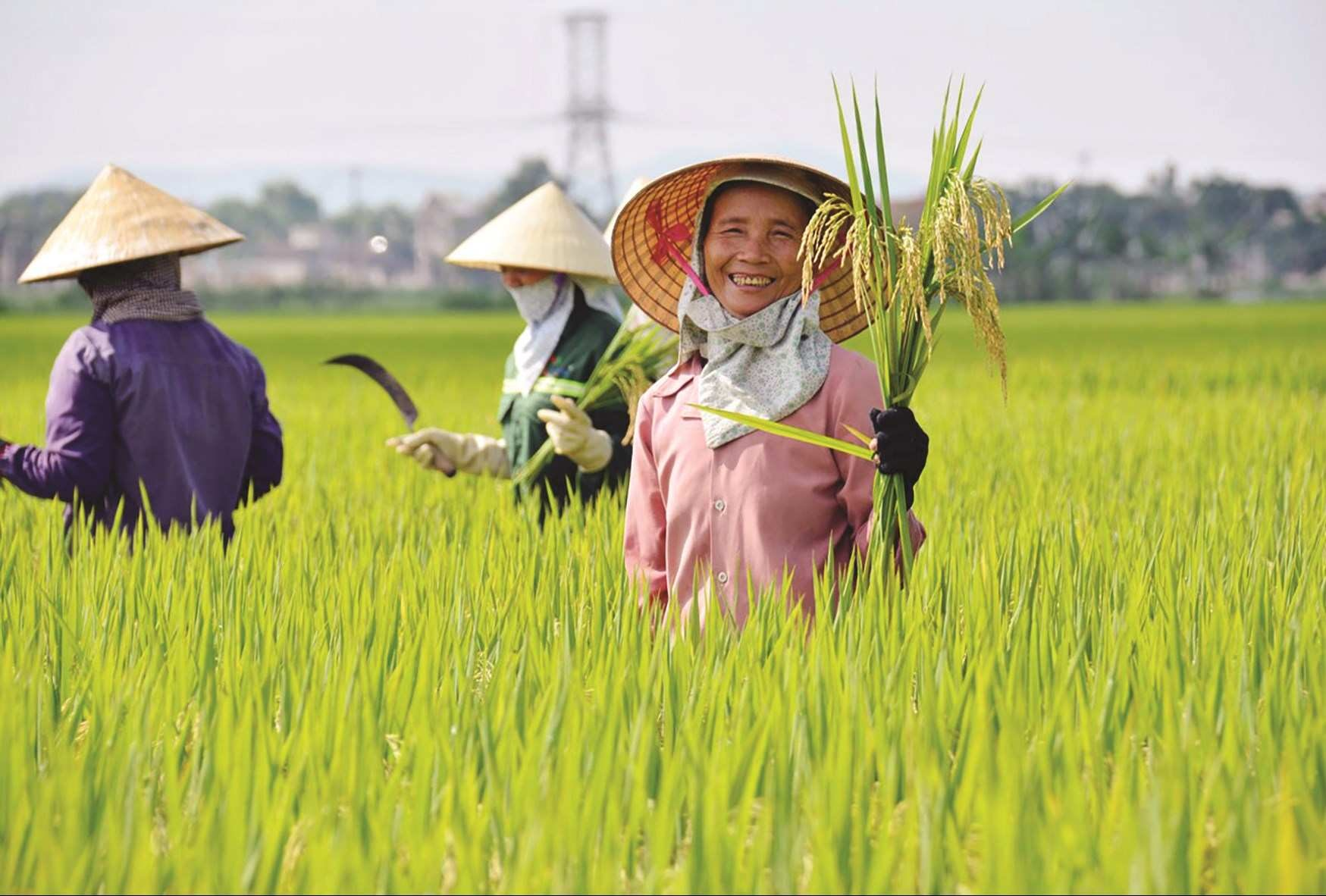 Xây dựng văn hóa nông dân trong kỷ nguyên mới
