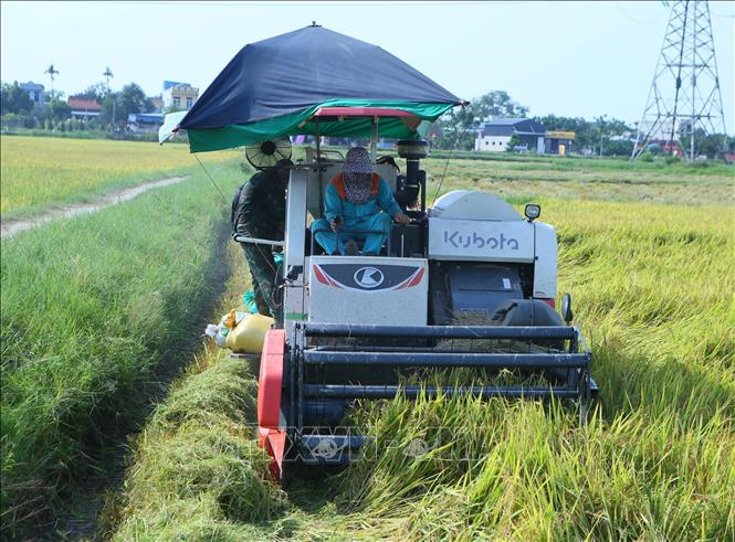 Nông dân nâng tầm, nông nghiệp nâng chất