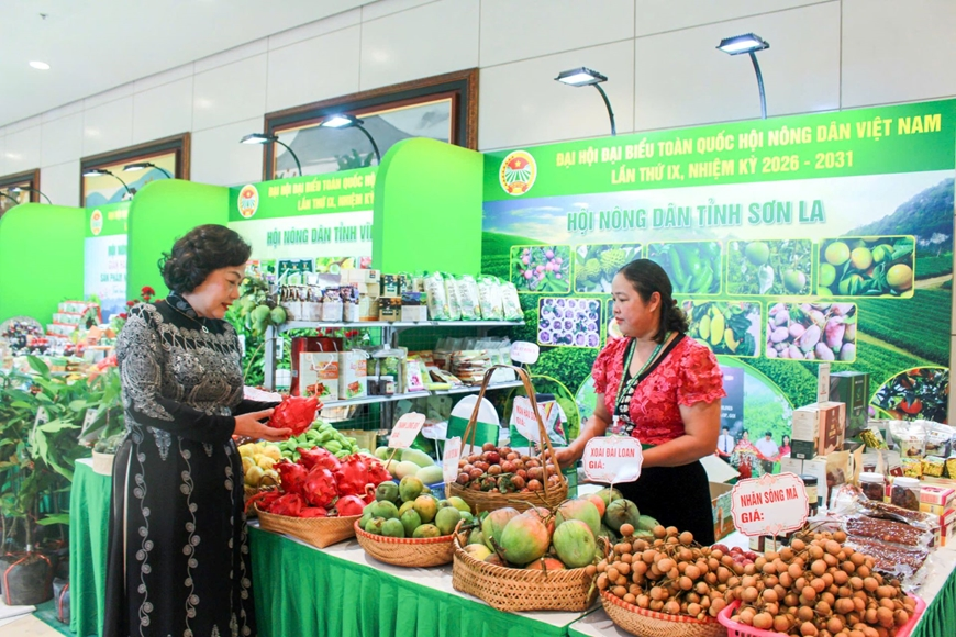 Nâng giá trị nông nghiệp từ du lịch sinh thái ở Sơn La