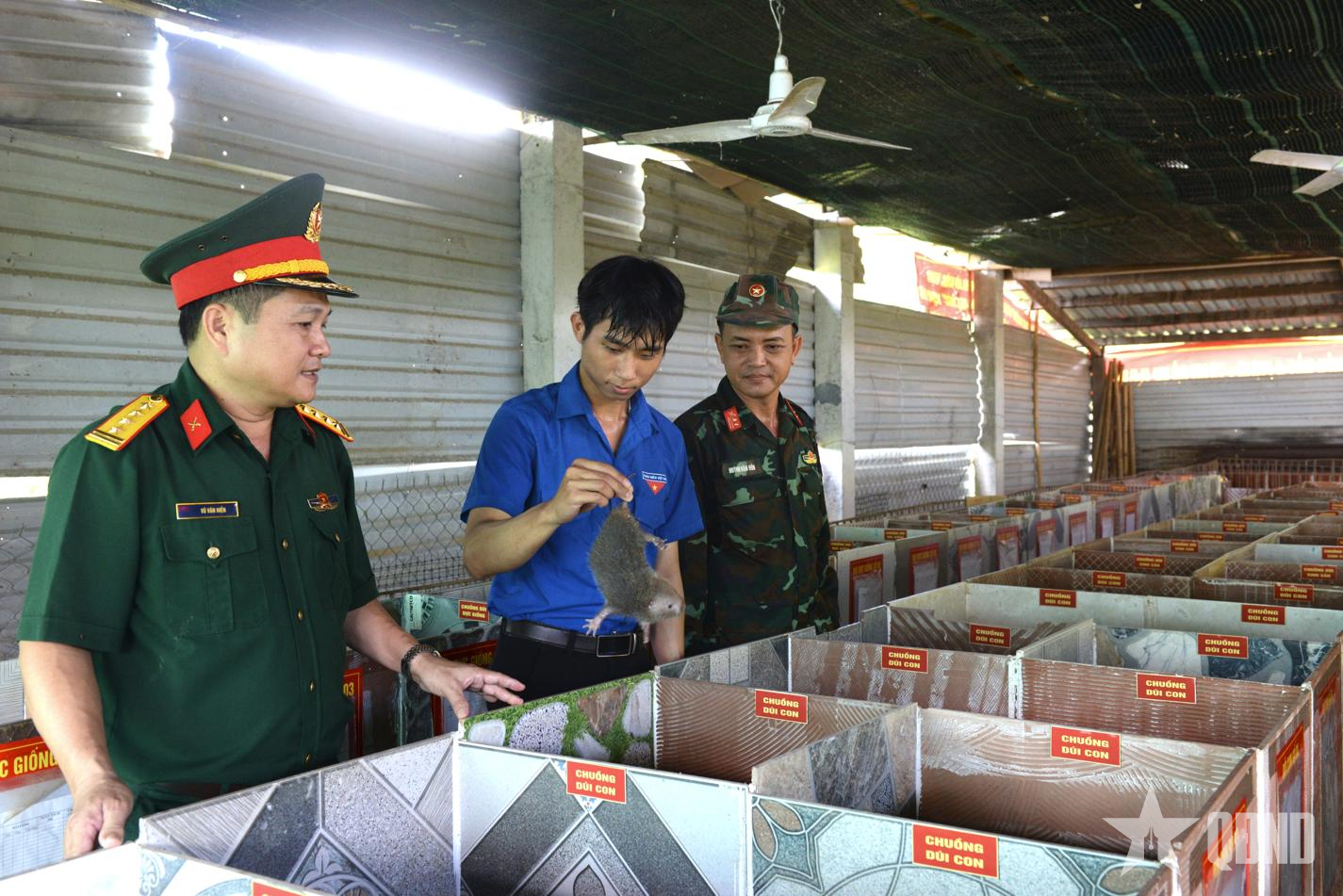 Giữ vững 