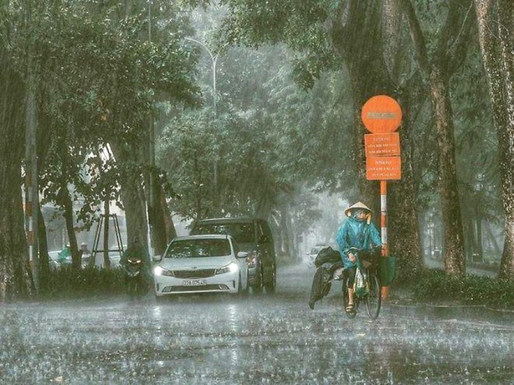 Cảnh báo mưa to đến rất to ở vùng núi, trung du Bắc Bộ