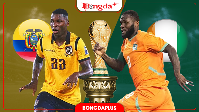 Nhận định Bờ Biển Ngà và Ecuador (Bảng E World Cup 2026): Cân tài cân sức

