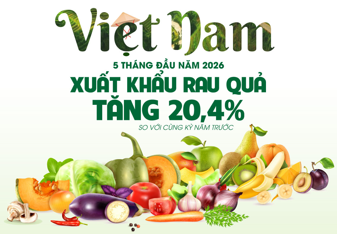 Xuất khẩu rau quả tăng 20,4% trong 5 tháng đầu năm 2026
