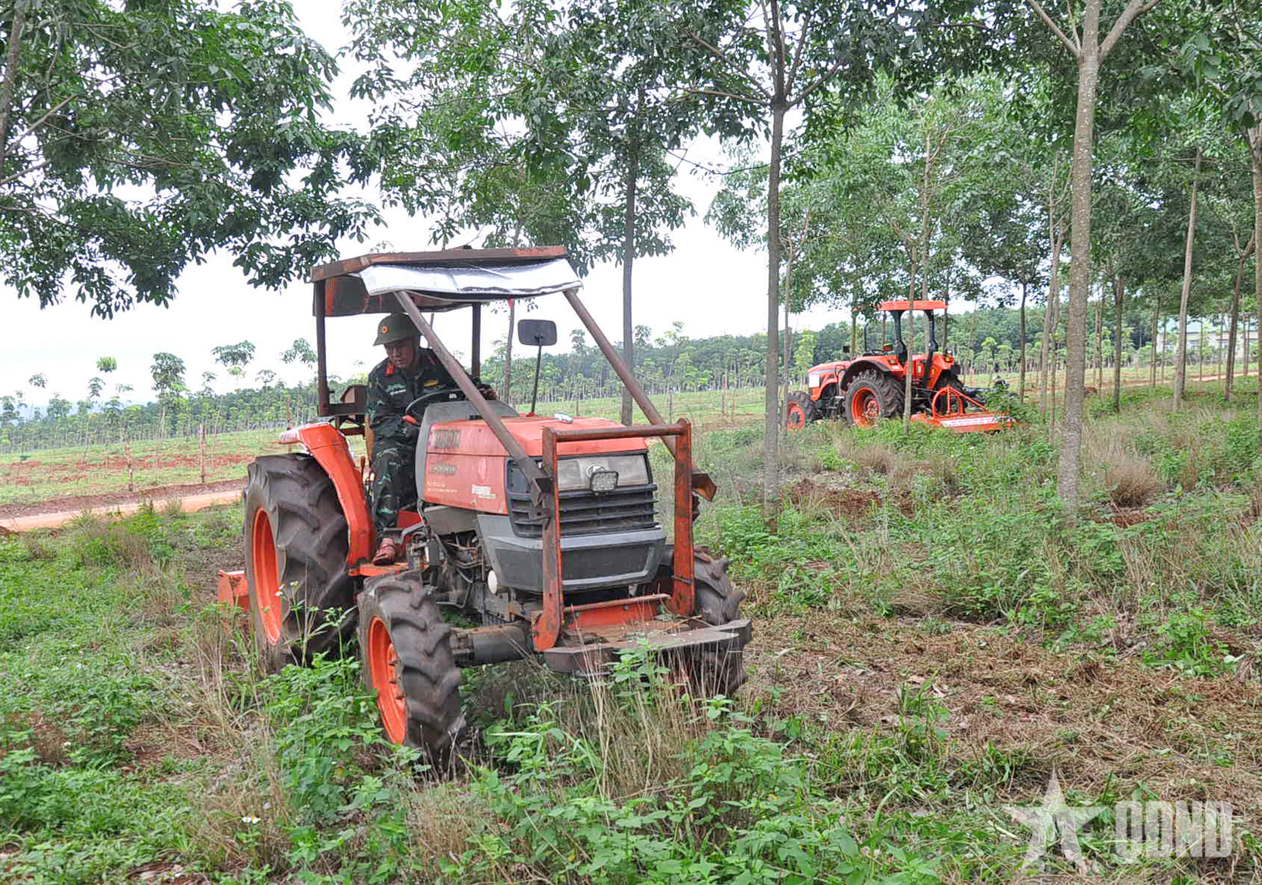 Cơ giới hóa - “chìa khóa” giải bài toán chi phí, thiếu hụt lao động ở Đoàn Kinh tế - Quốc phòng 75