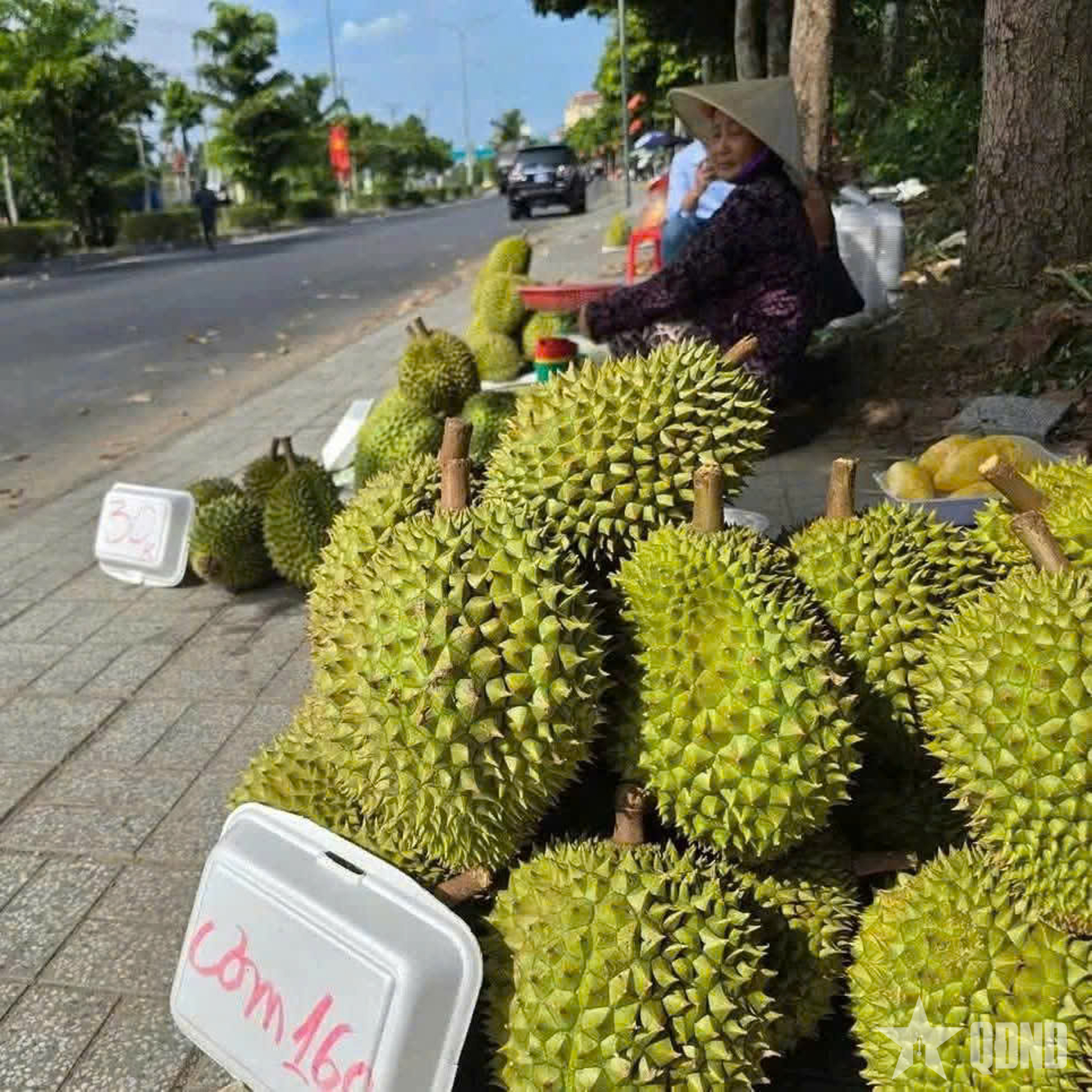 Nông dân thời bão giá