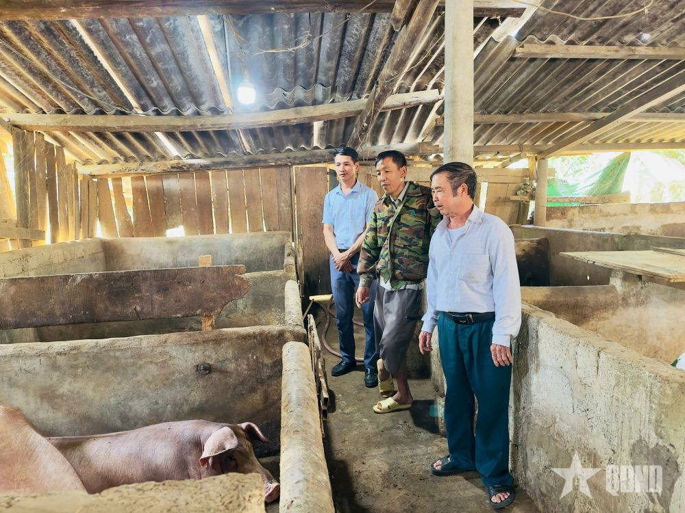 Hà Tĩnh: Làm giàu từ mô hình chăn nuôi tổng hợp trên vùng đất biên giới xã Sơn Hồng