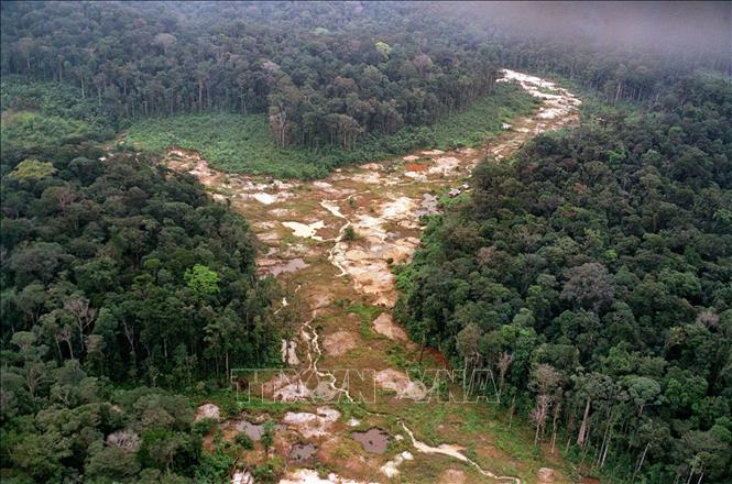 Khai thác mỏ đang tàn phá “lá phổi xanh” của châu Phi