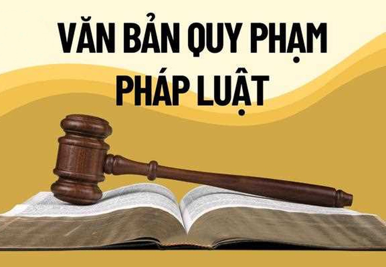Xử lý triệt để tình trạng chậm ban hành văn bản quy định chi tiết luật, pháp lệnh, nghị quyết