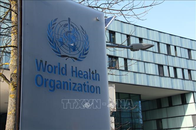 WHO tuyên bố chấm dứt đợt bùng phát bệnh do virus Hanta