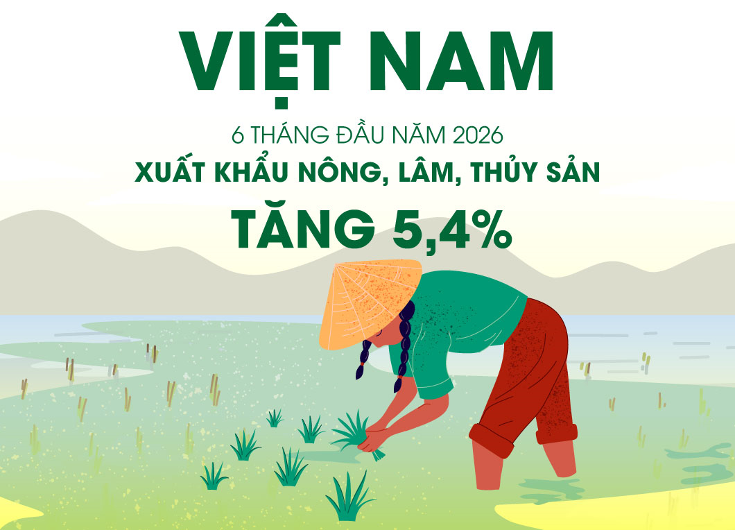 Xuất khẩu nông, lâm, thủy sản đạt gần 35,9 tỷ USD trong 6 tháng đầu năm 2026