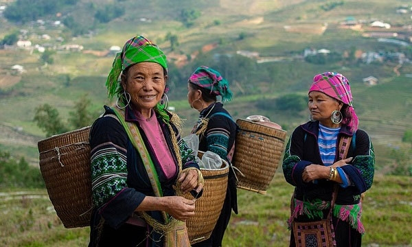 Tổ chức giải báo chí 