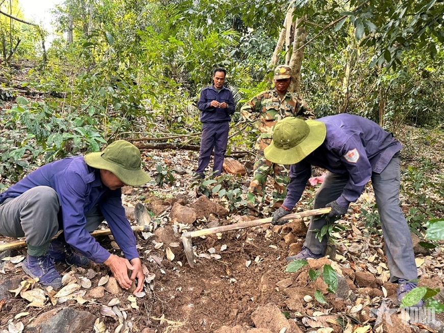 Hành trình nặng nghĩa tri ân
