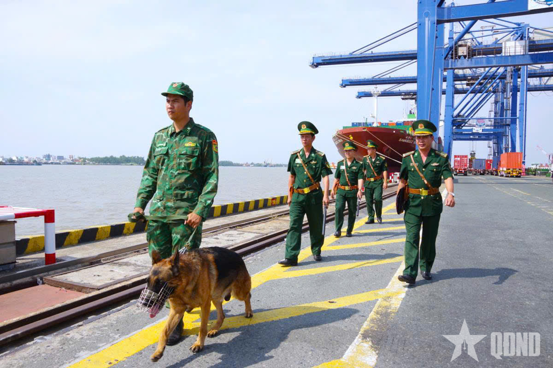 Bộ đội Biên phòng TP Hồ Chí Minh: Nâng cao hiệu quả quản lý cửa khẩu cảng, chống khai thác IUU