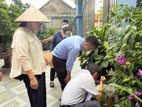 Hà Nội: Dịch sốt xuất huyết có xu hướng gia tăng