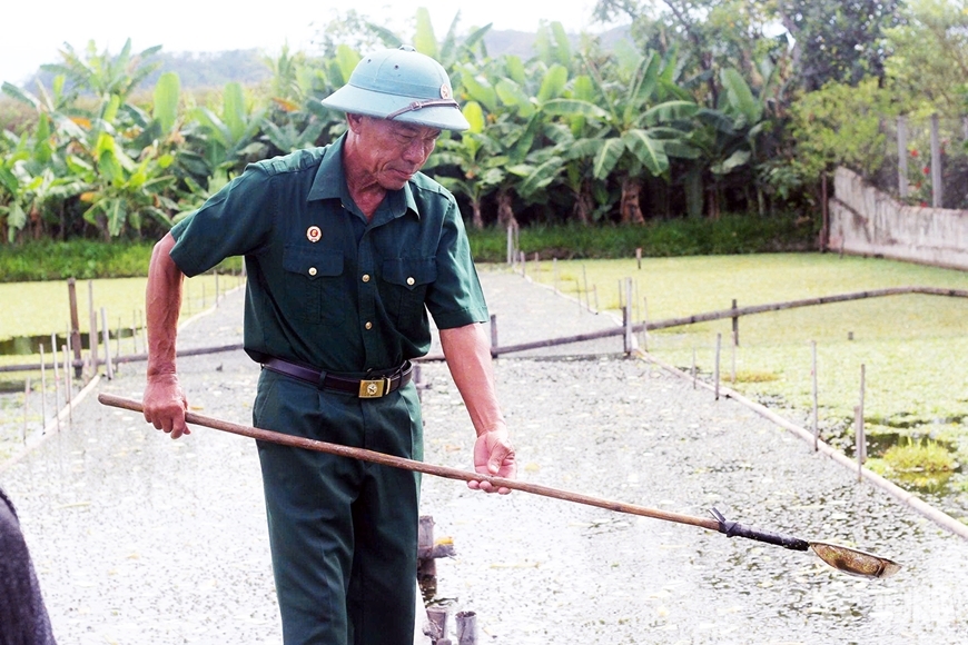 Cựu chiến binh, thương binh làm giàu từ ốc bươu đen
