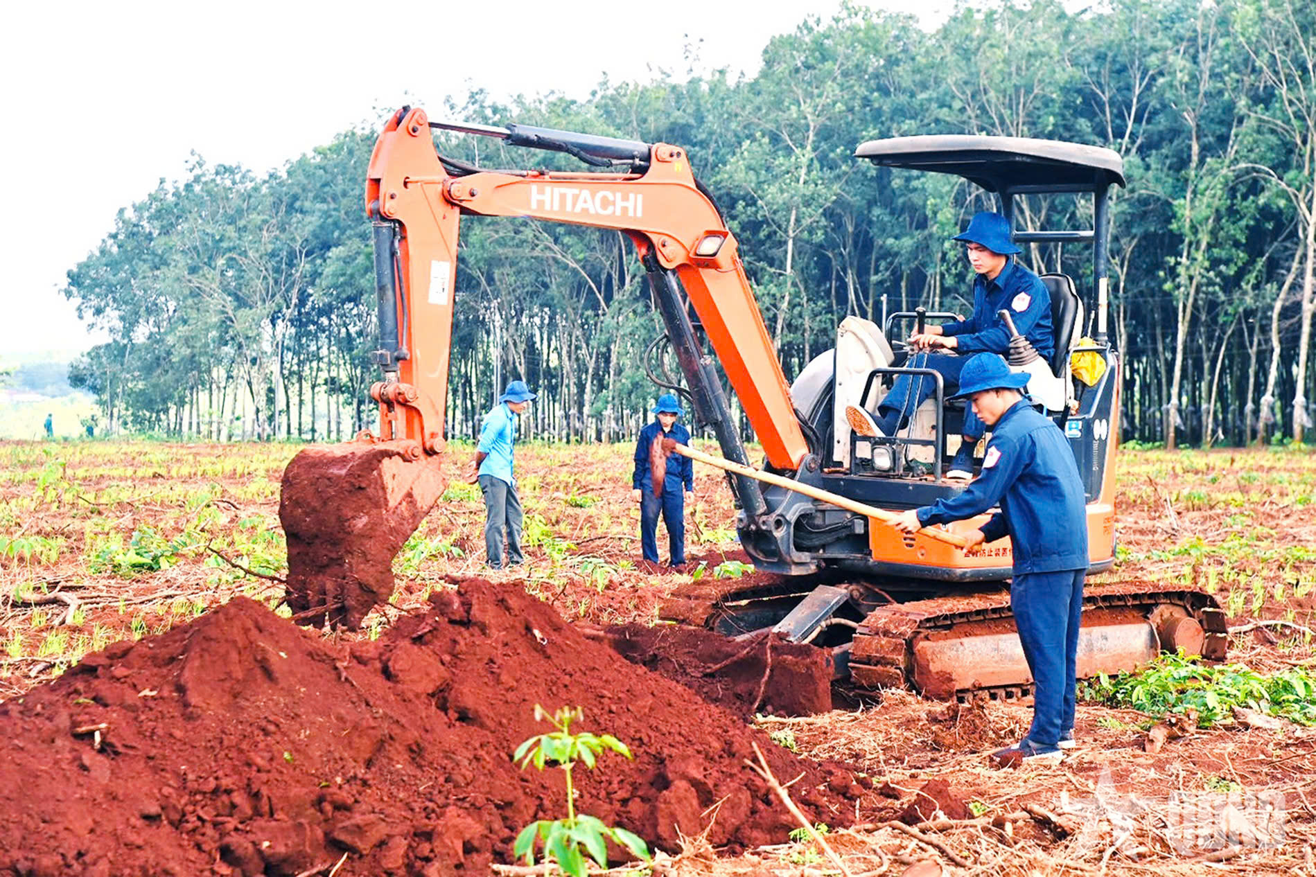 Nỗ lực tri ân bằng những việc làm thiết thực