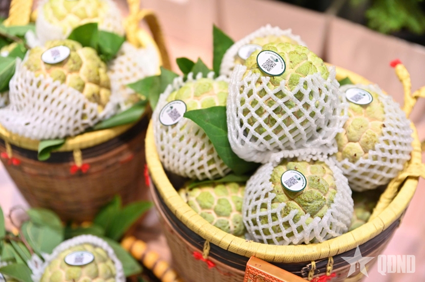 Hơn 1,2 tấn na Chi Lăng được ti&ecirc;u thụ sau 3 ng&agrave;y tại "Lạng Sơn Corner"