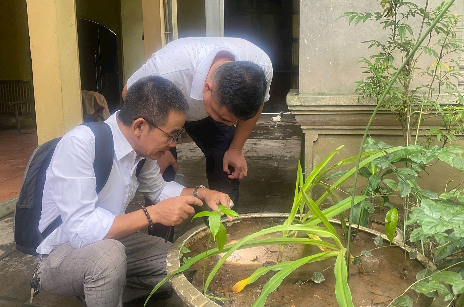 Hà Nội: Số ca mắc sốt xuất huyết tăng mạnh