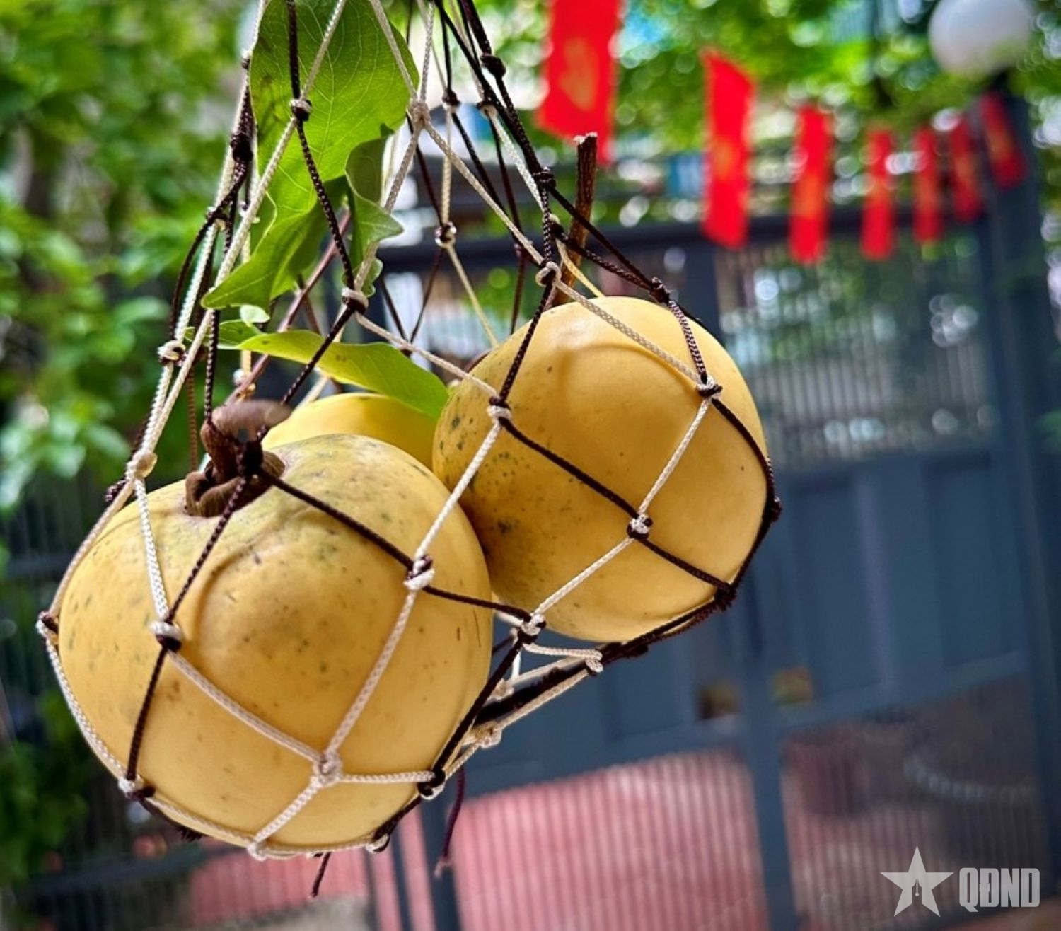 Thoảng hương thị trong gió thu