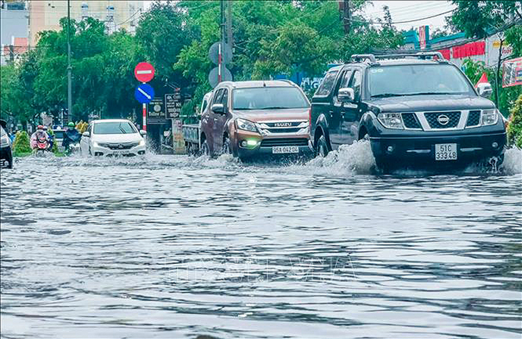 Cảnh báo nhiều khu vực biển có gió mạnh, sóng cao và biển động