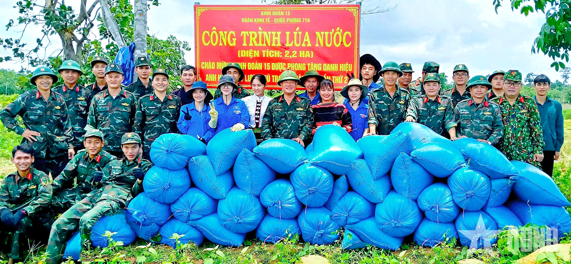 Đoàn Kinh tế - Quốc phòng 710 (Binh đoàn 15): Nhân rộng giống lúa ST 25 trên địa bàn biên giới xã Ia Mơ, tỉnh Gia Lai