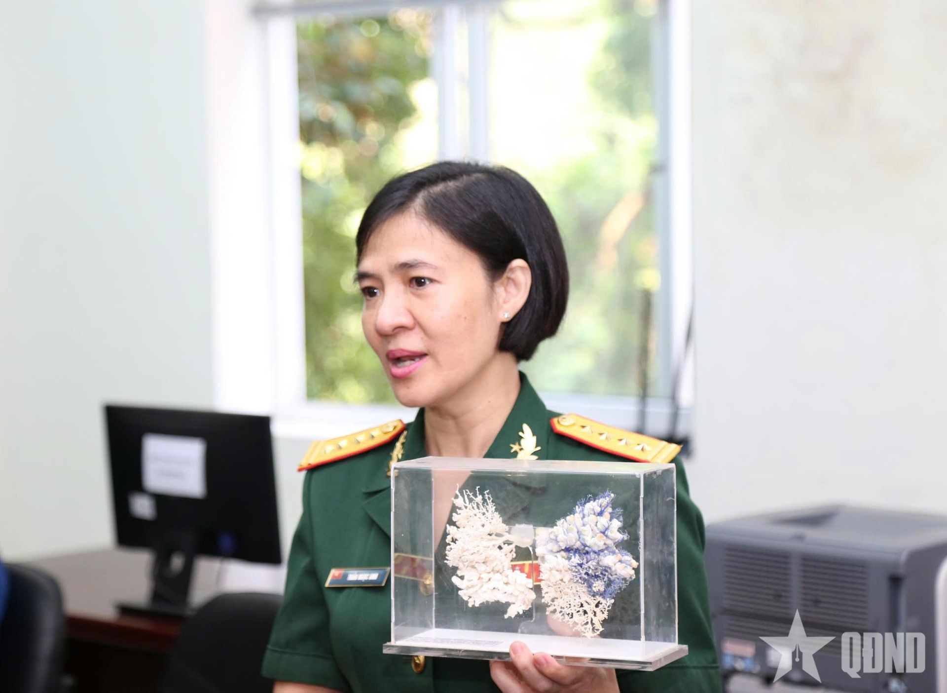 Giữ hơi ấm những trái tim không còn nhịp đập
