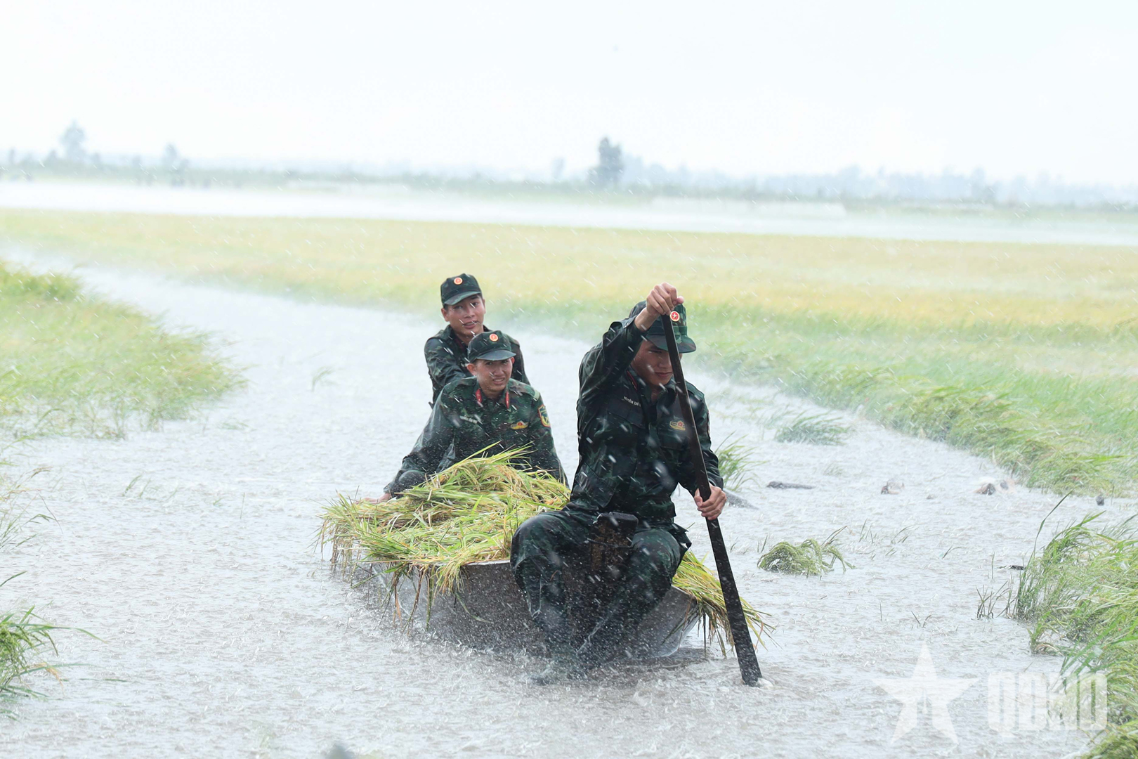 Tây Ninh: Lực lượng vũ trang giúp dân cứu lúa