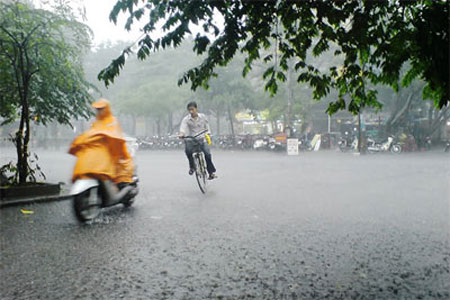 Cơn mưa đầu mùa