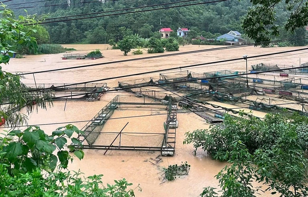 Mưa lũ và bão số 4 làm 17.812 khách hàng bị mất điện