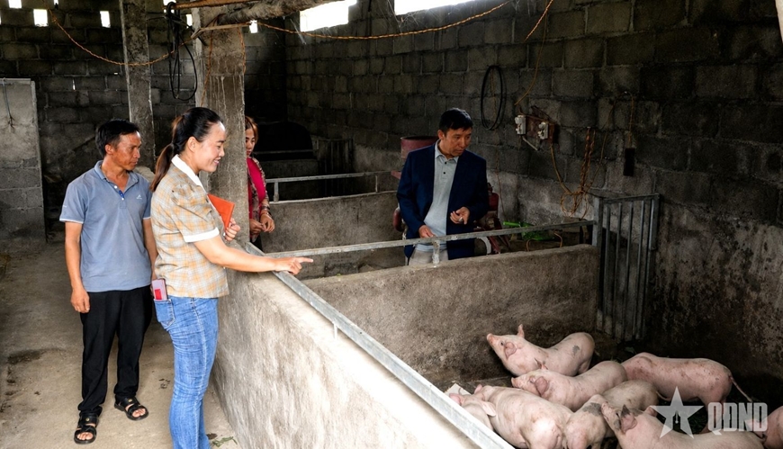 Mua Thị Và - Trưởng thôn người Mông gieo niềm tin nơi biên cương Tuyên Quang